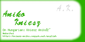 aniko kniesz business card